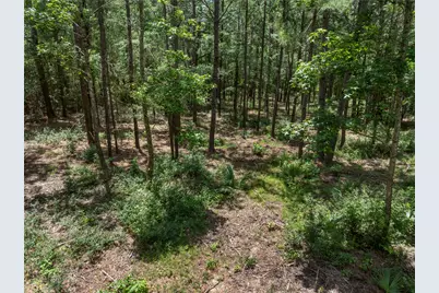 1-1-31 Texas Grand Road, Huntsville, TX 77340 - Photo 6