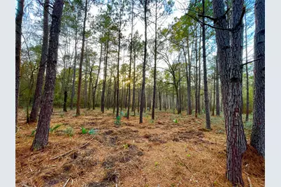 1-1-31 Texas Grand Road, Huntsville, TX 77340 - Photo 6