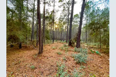 1-1-31 Texas Grand Road, Huntsville, TX 77340 - Photo 4