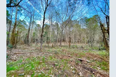 1-1-31 Texas Grand Road, Huntsville, TX 77340 - Photo 2