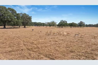 13320 US Highway 77 S, Hallettsville, TX 77964 - Photo 18