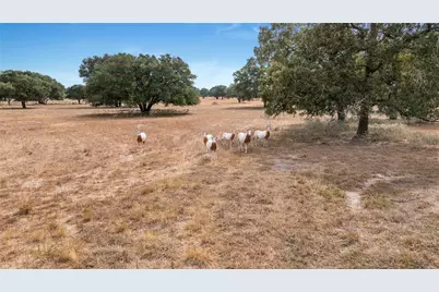 13320 US Highway 77 S, Hallettsville, TX 77964 - Photo 16