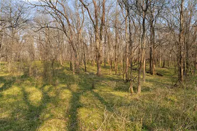 Tract 2 Cr 117, Hungerford, TX 77448 - Photo 34