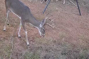 0 Broze Road Rd, Humble, TX 77338 - Photo 24