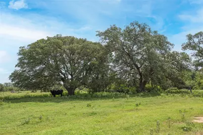 Tbd Cr 212 - Tract 5, Hallettsville, TX 77964 - Photo 2