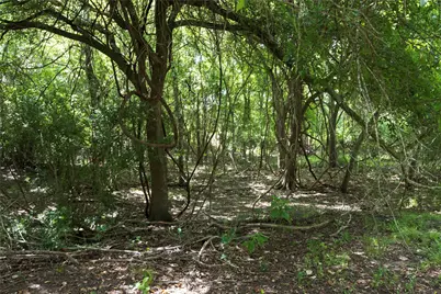 Tbd Cr 212 - Tract 5, Hallettsville, TX 77964 - Photo 4