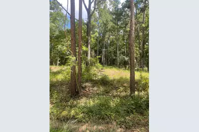 70 Tall Timbers Trail, Coldspring, TX 77331 - Photo 4