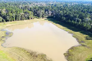 211 Brazen Frst Trl, Magnolia, TX 77354 - Photo 16