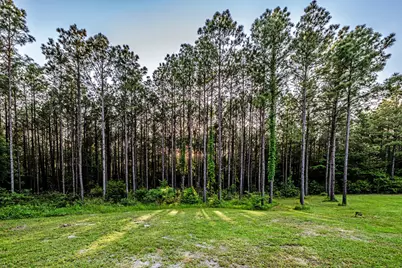 1515A Fm 247, Huntsville, TX 77320 - Photo 34