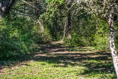 1017 Allen Road, Cat Spring, TX 78933 - Photo 44