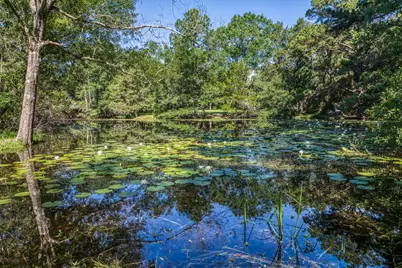 1017 Allen Road, Cat Spring, TX 78933 - Photo 40