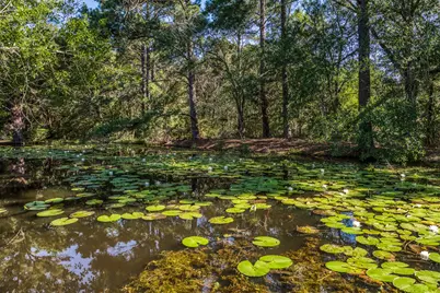 1017 Allen Road, Cat Spring, TX 78933 - Photo 42