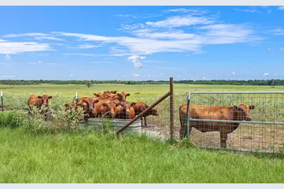 2970 County Road 270, Cameron, TX 76520 - Photo 44