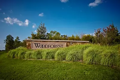 238 Bronze View Drive, Montgomery, TX 77316 - Photo 50