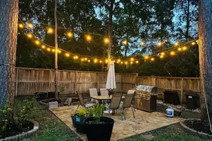 2 Bryce Branch Cir, The Woodlands, TX 77382 - Photo 38