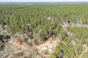 99 Fawn Dr, New Waverly, TX 77358 - Photo 28