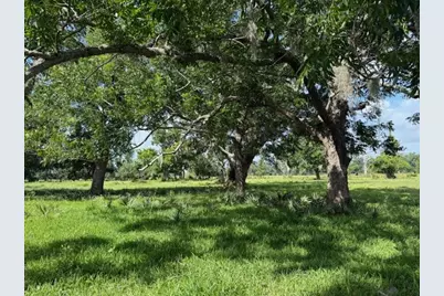 0 County Road 153 Sims Ave Road, Cedar Lane, TX 77415 - Photo 10