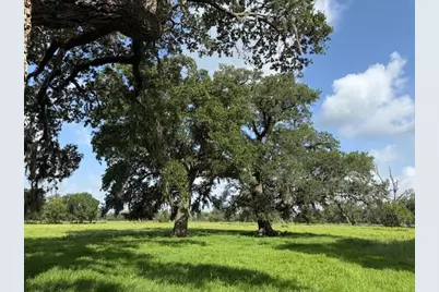 0 County Road 153 Sims Ave Road, Cedar Lane, TX 77415 - Photo 18
