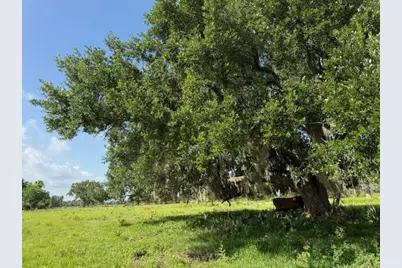 0 County Road 153 Sims Ave Road, Cedar Lane, TX 77415 - Photo 22