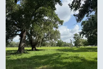 0 County Road 153 Sims Ave Road, Cedar Lane, TX 77415 - Photo 14