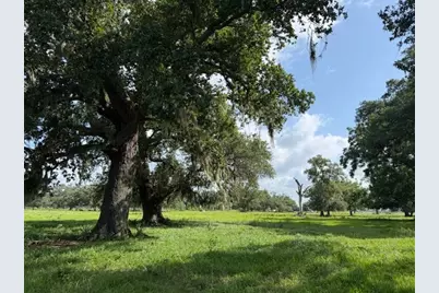 0 County Road 153 Sims Ave Road, Cedar Lane, TX 77415 - Photo 1