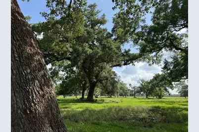 0 County Road 153 Sims Ave Road, Cedar Lane, TX 77415 - Photo 4