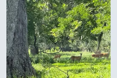 0 County Road 153 Sims Ave Road, Cedar Lane, TX 77415 - Photo 30