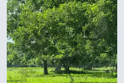 0 County Road 153 Sims Ave Road, Cedar Lane, TX 77415 - Photo 28