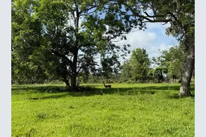 0 County Road 153 Sims Ave Road, Cedar Lane, TX 77415 - Photo 32