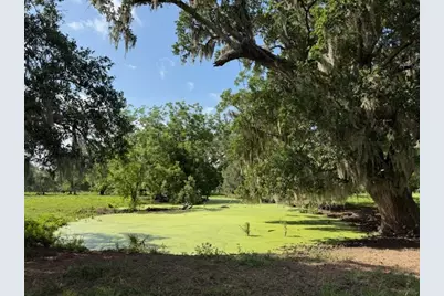 0 County Road 153 Sims Ave Road, Cedar Lane, TX 77415 - Photo 12