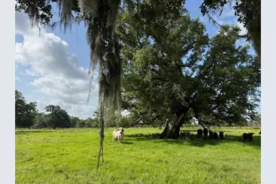 0 County Road 153 Sims Ave Road, Cedar Lane, TX 77415 - Photo 16