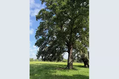 0 County Road 153 Sims Ave Road, Cedar Lane, TX 77415 - Photo 20