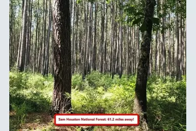 0 Hamilton, Hempstead, TX 77445 - Photo 6