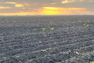 00 County Rd 460, El Campo, TX 77437 - Photo 2