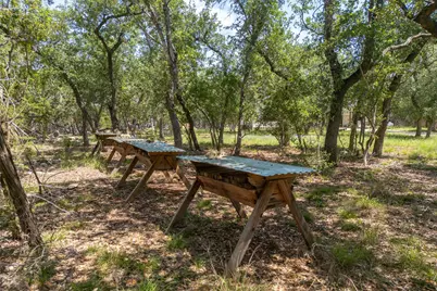 101 Rambling Oaks Drive, Wimberley, TX 78676 - Photo 34