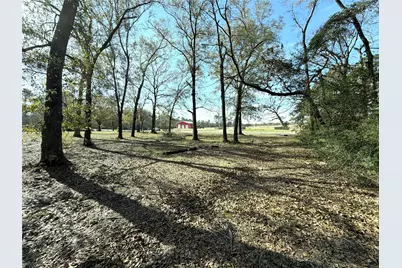 356 Skains Lane, Trinity, TX 75862 - Photo 2