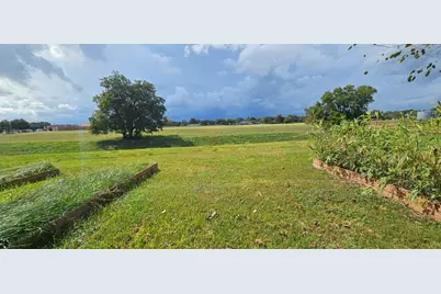 4206 Palmer Plantation Drive, Missouri City, TX 77459 - Photo 10
