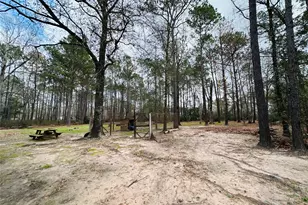 290 Humbird, Cleveland, TX 77328 - Photo 24