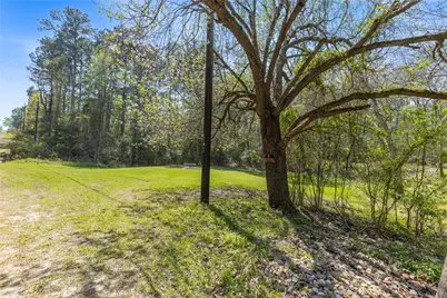 0 Sportsman Drive, Trinity, TX 75862 - Photo 2