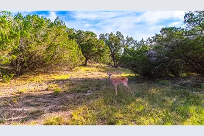 2163 Stagecoach Way, Canyon Lake, TX 78133 - Photo 16