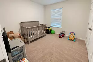 10730 Cashew Run Ln, Houston, TX 77075 - Photo 4