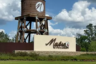 15349 Dapple Blf Ln, Conroe, TX 77302 - Photo 24