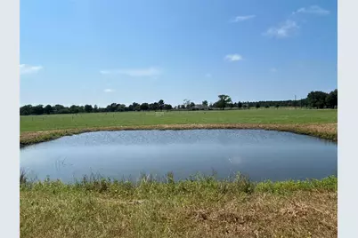 38535 Wiggins Road, Hempstead, TX 77445 - Photo 8