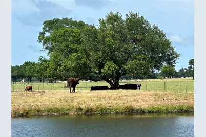 38535 Wiggins Road, Hempstead, TX 77445 - Photo 4