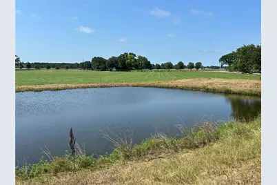 38535 Wiggins Road, Hempstead, TX 77445 - Photo 6