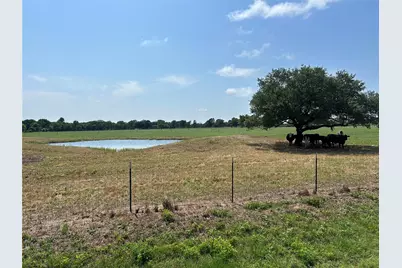 38535 Wiggins Road, Hempstead, TX 77445 - Photo 12