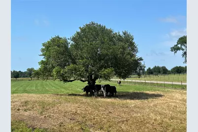 38535 Wiggins Road, Hempstead, TX 77445 - Photo 14