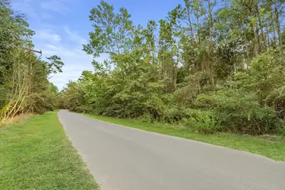 00 County Road 201 Loop, Plantersville, TX 77363 - Photo 2