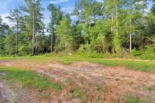 15365 Red Hawk Rd, Willis, TX 77378 - Photo 14