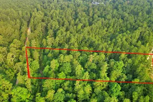 15365 Red Hawk Rd, Willis, TX 77378 - Photo 10